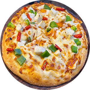 Special Punjabi Paneer